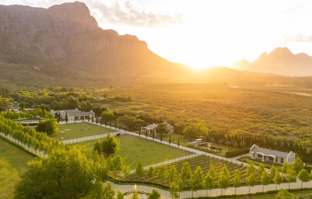 Photo of Others in Cape Winelands