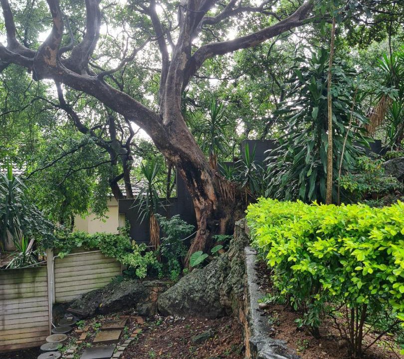 Photo of Outdoor in Nelspruit