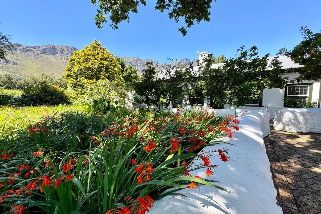 Photo of Others in Franschhoek