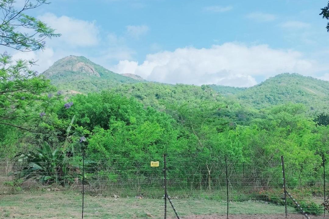 Photo of Outdoor in Nelspruit