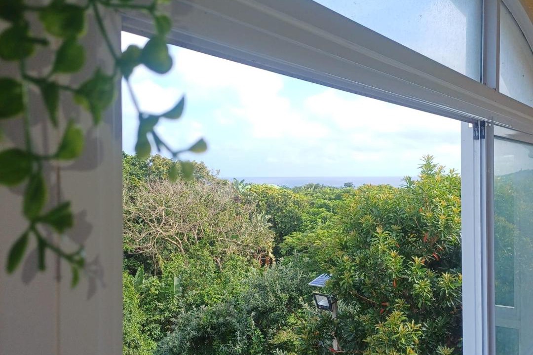 Photo of Patio Balcony in Elysium