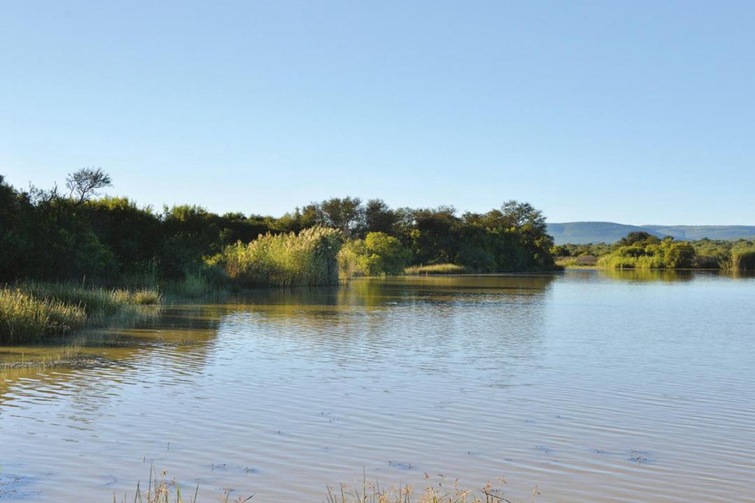 Photo of Others in Rooiberg