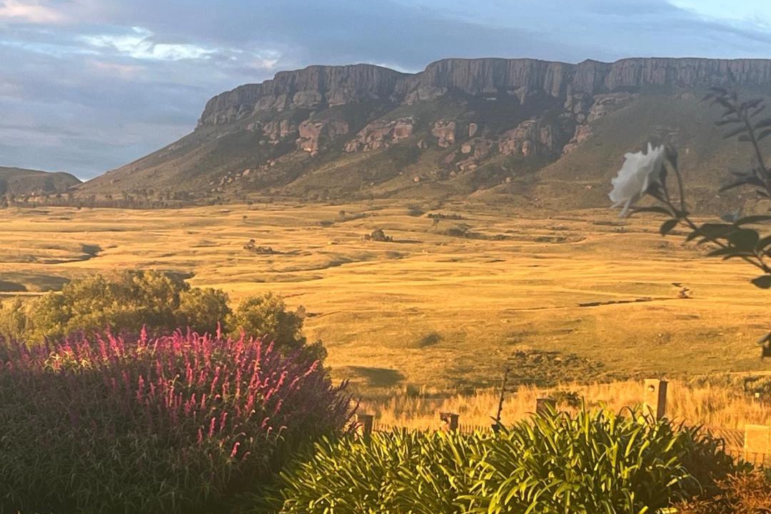 Photo of Others in Harrismith