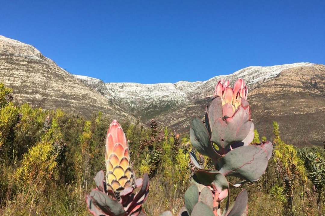 Photo of Outdoor in Joubertina