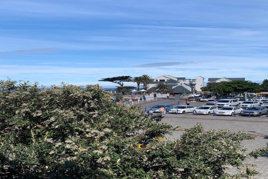 Photo of Others in Hermanus City-Centre