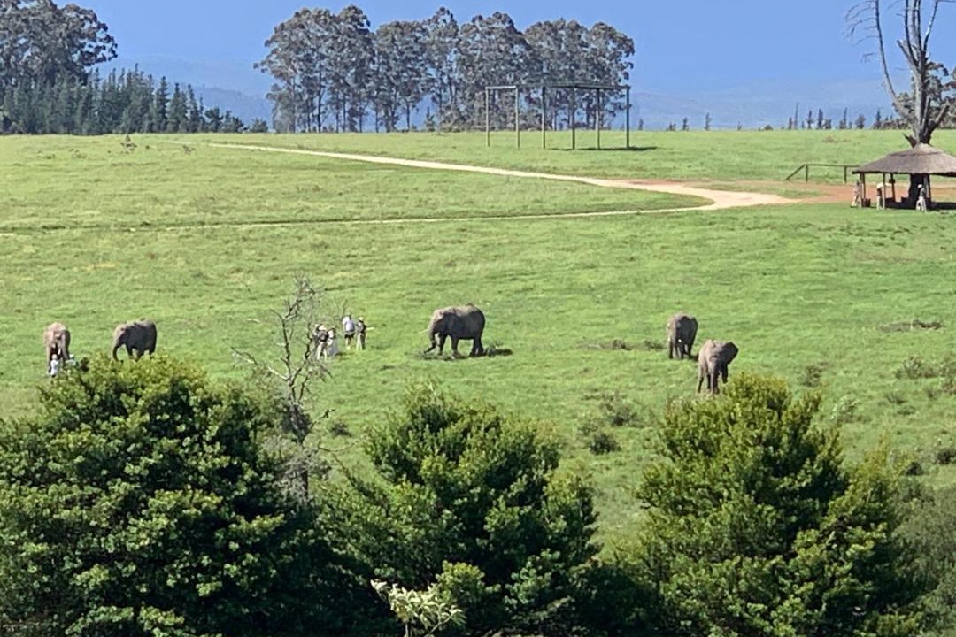 Photo of Others in Buffalo Hills Game Reserve