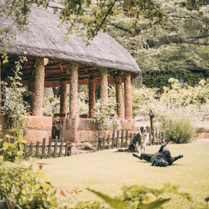 Photo of Others in Fouriesburg