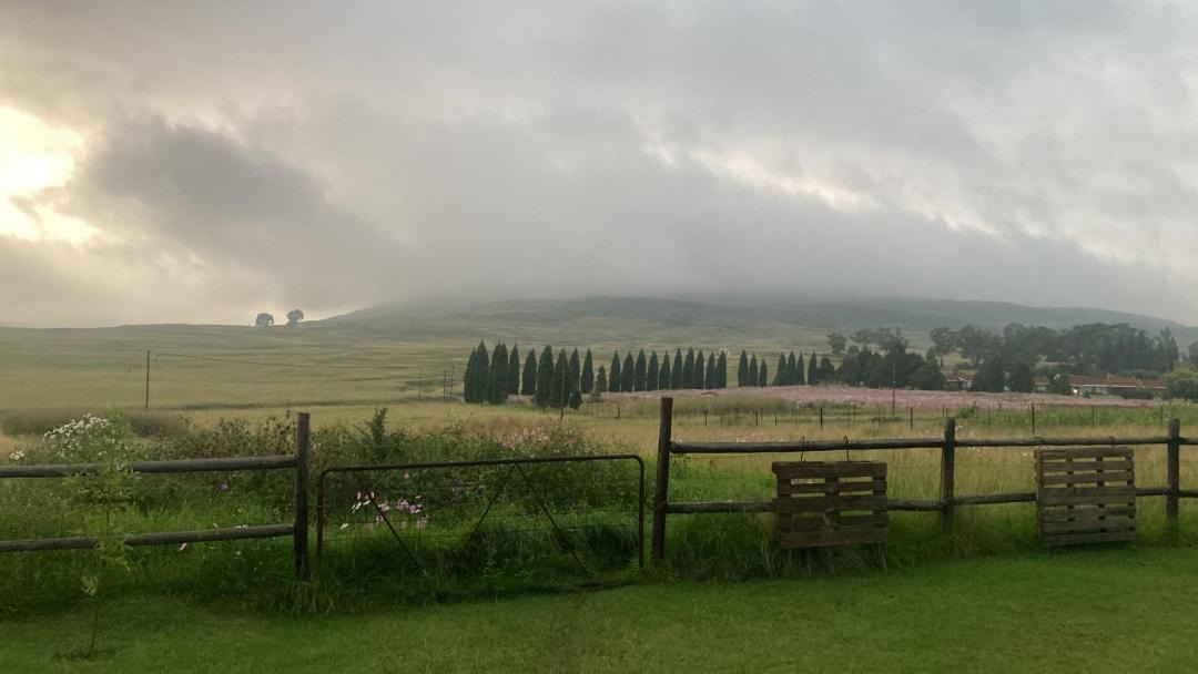 Photo of Others in Wakkerstroom