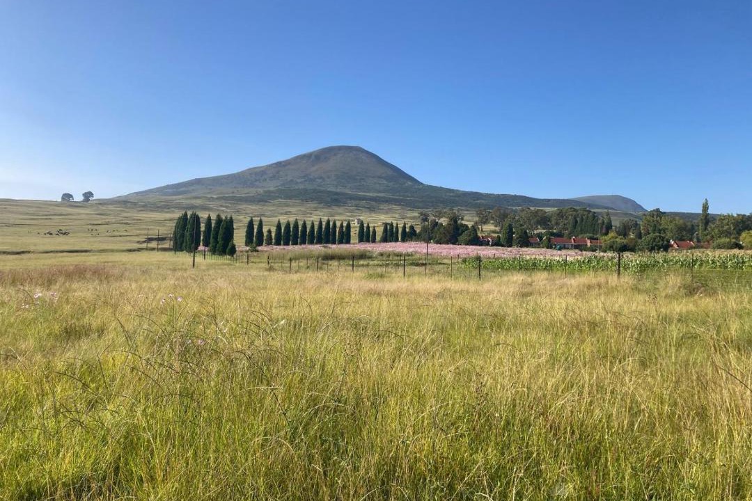 Photo of Others in Wakkerstroom
