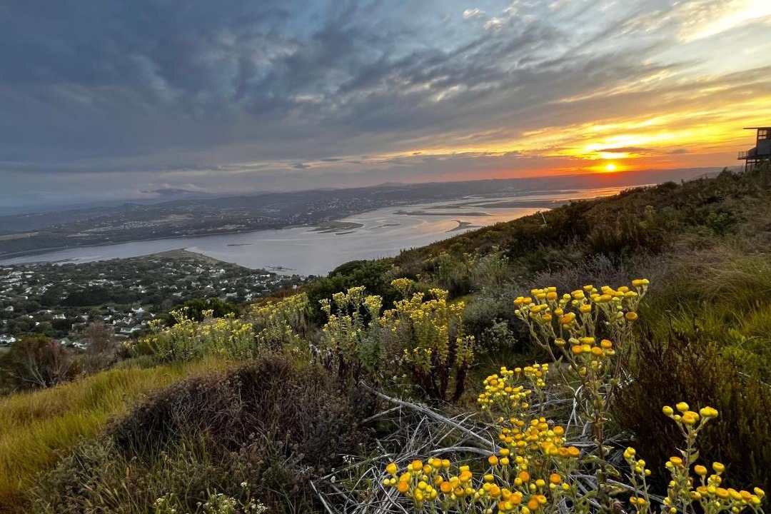 Photo of Others in Knysna