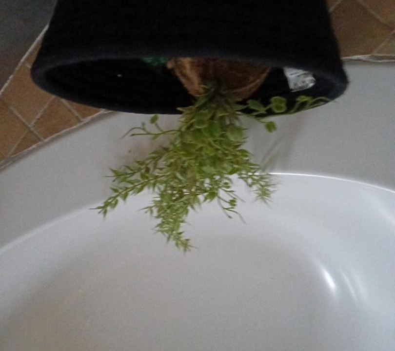 Photo of Bathroom in Kareeberg