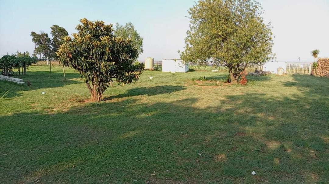 Photo of Others in Randfontein