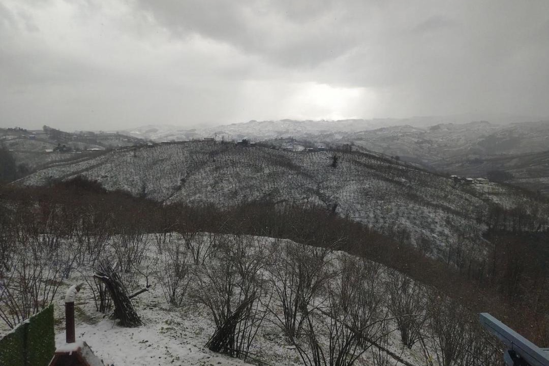 Photo of Others in Kocaali