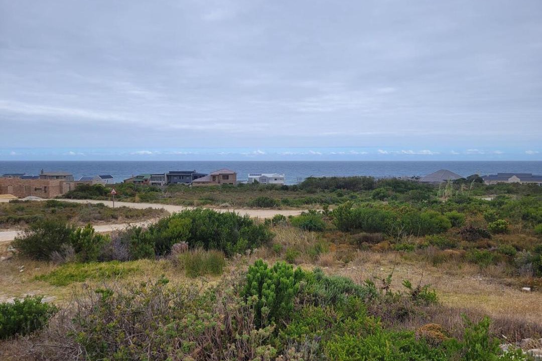 Photo of Others in Betty's Bay