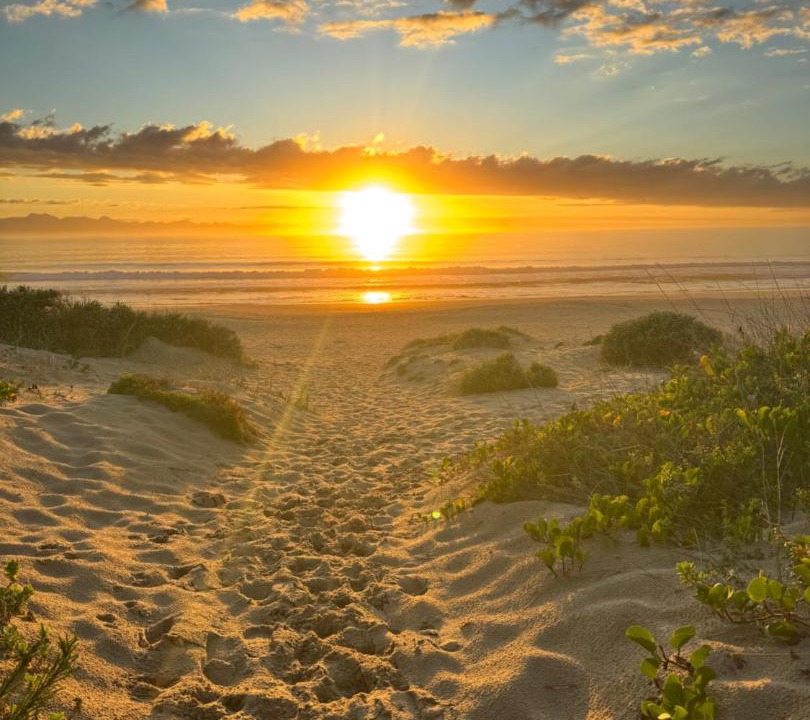Photo of Others in Plettenberg Bay
