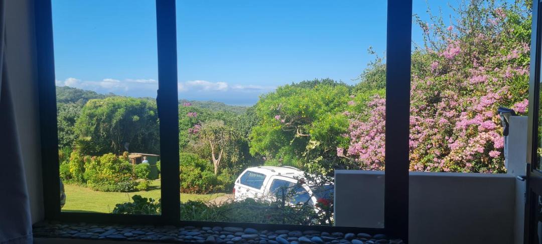 Photo of Others in Port Alfred