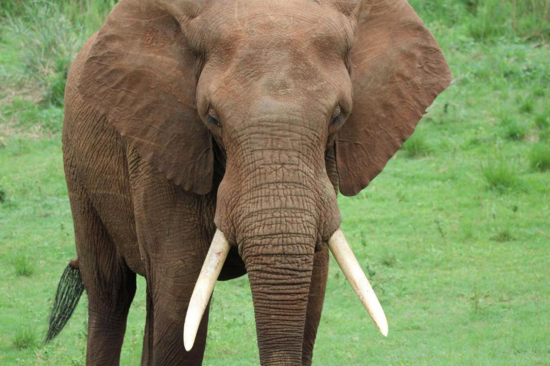 Photo of Others in Nkomazi