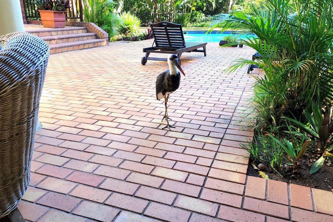 Photo of Patio Balcony in Pennington