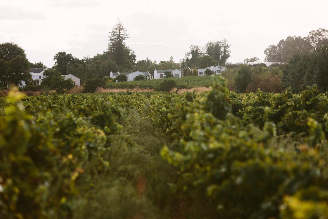 Photo of Others in Breede Valley