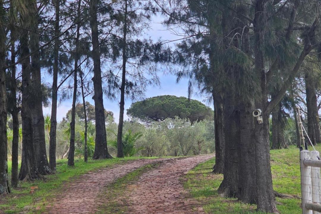 Photo of Outdoor in Trawal