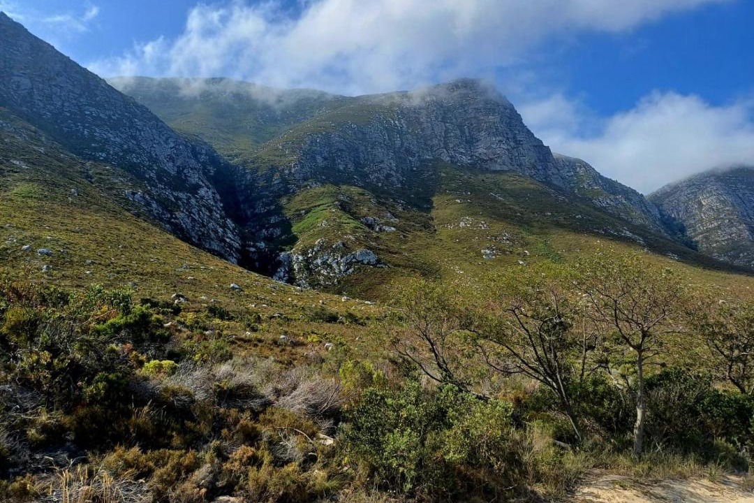 Photo of Others in Betty's Bay