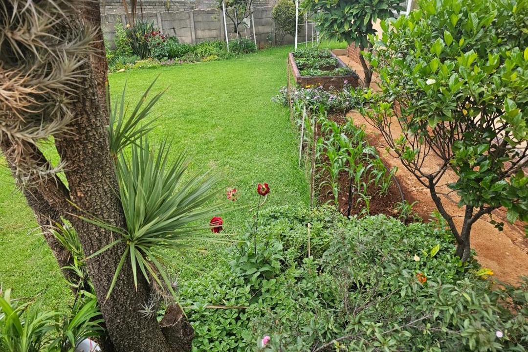 Photo of Others in Greater Johannesburg Metropolitan Area