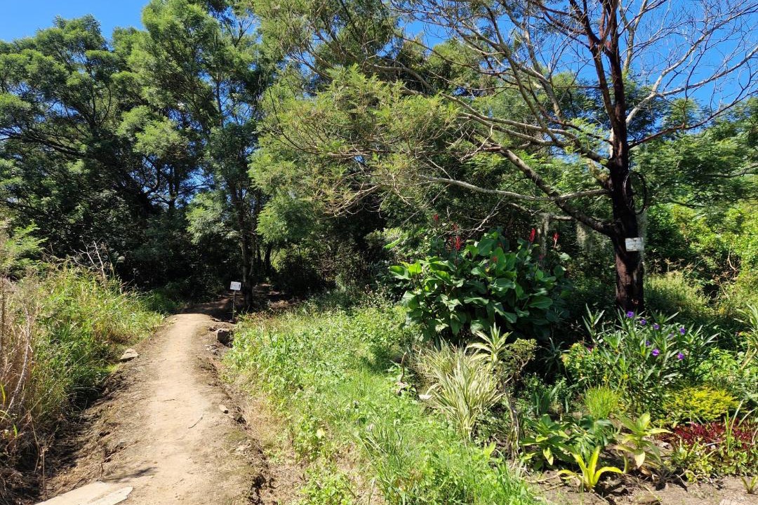 Photo of Outdoor in Beacon Bay