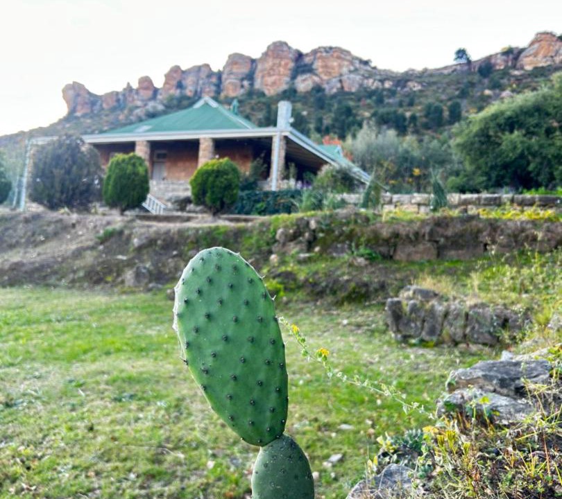 Photo of Others in Ficksburg