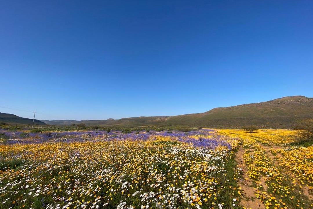 Photo of Others in Cederberg