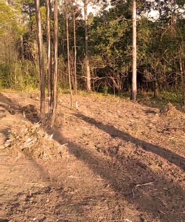 Photo of Others in Hibiscus Coast