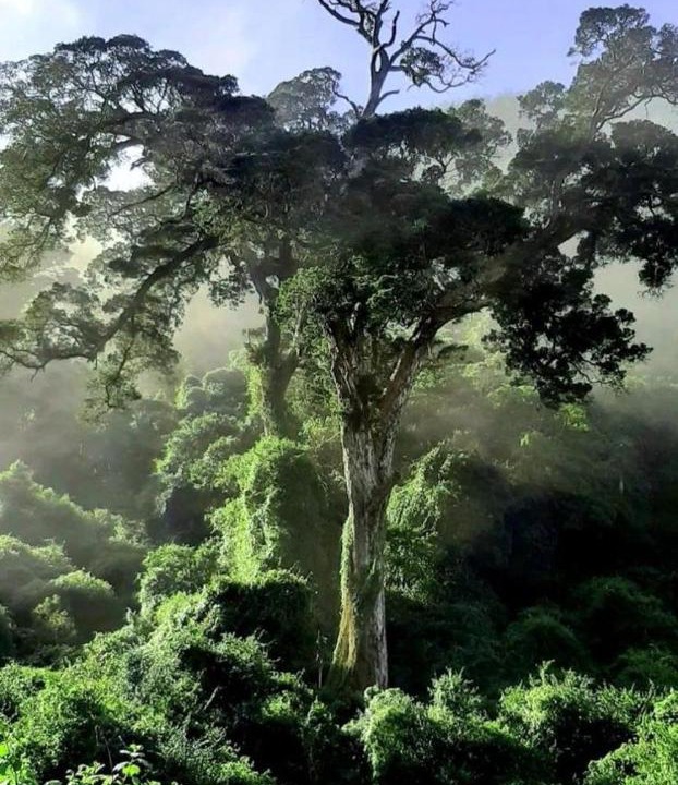Photo of Others in Nature's Valley