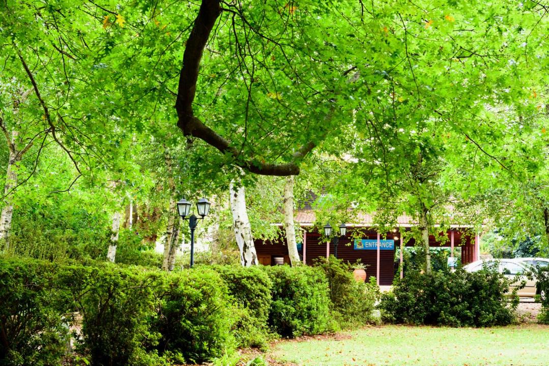 Photo of Outdoor in Hogsback
