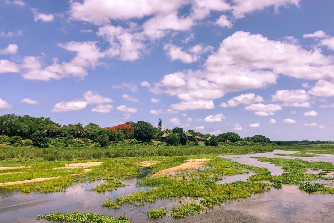 Photo of Others in Nkomazi