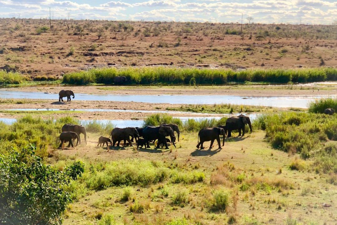 Photo of Others in Nkomazi