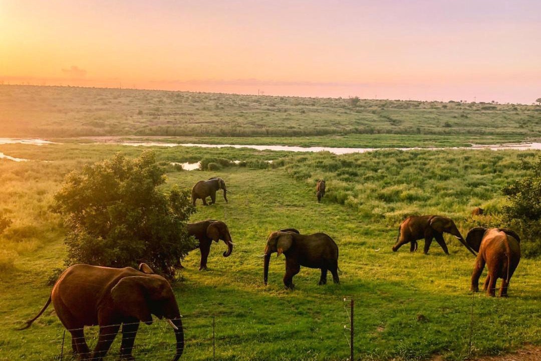 Photo of Others in Nkomazi