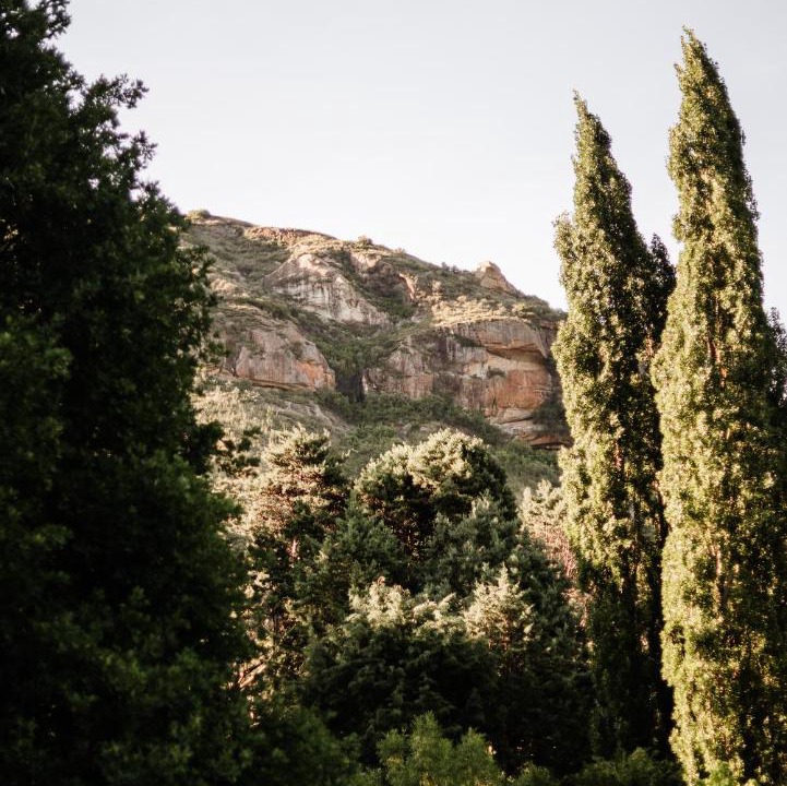 Photo of Others in Clarens