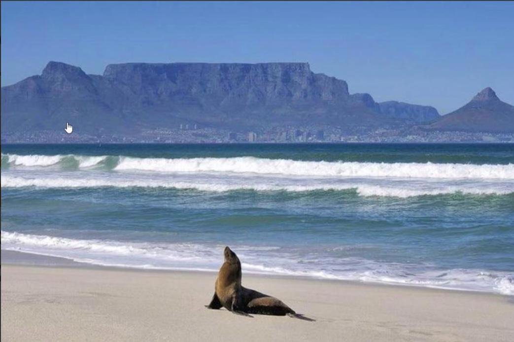 Photo of Others in Bloubergstrand