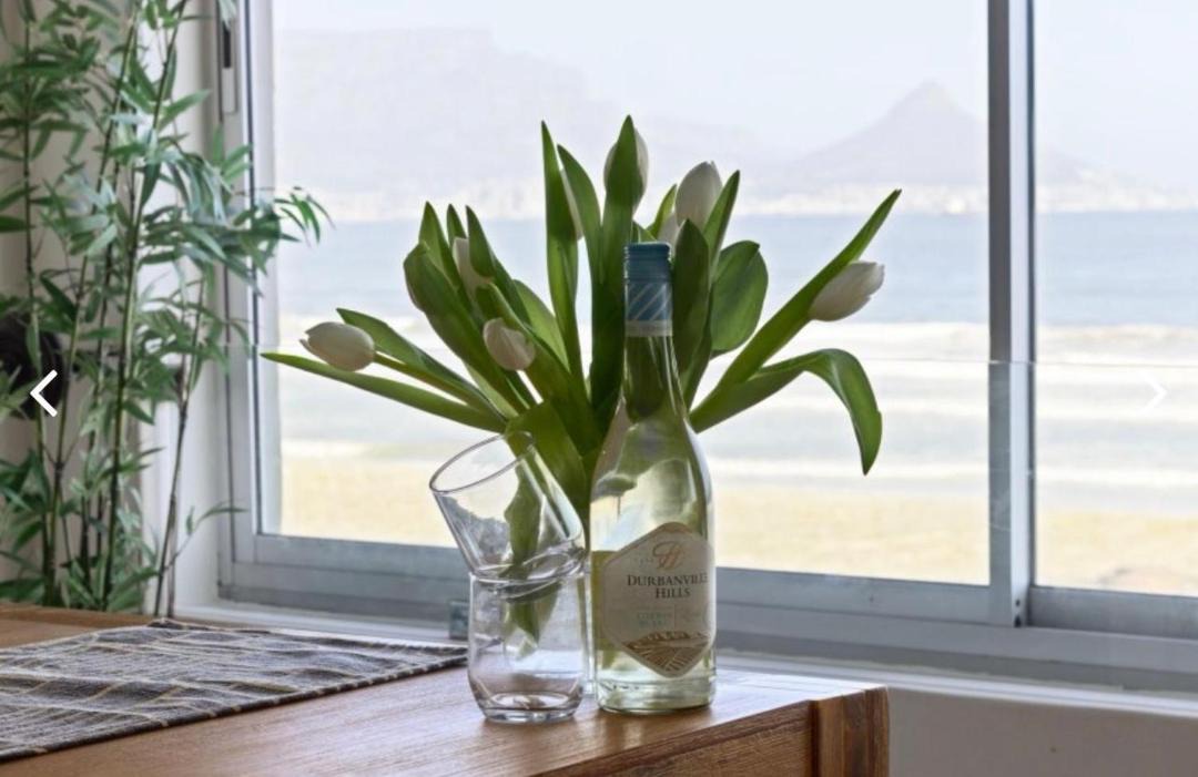 Photo of Others in Bloubergstrand