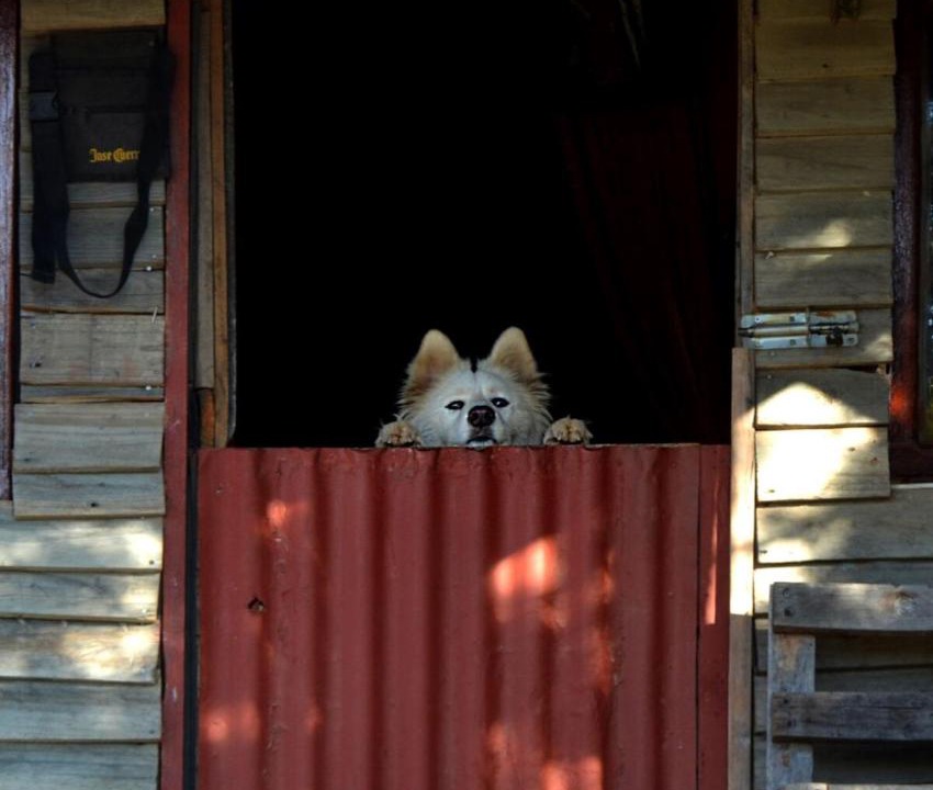 Photo of Others in Barrydale