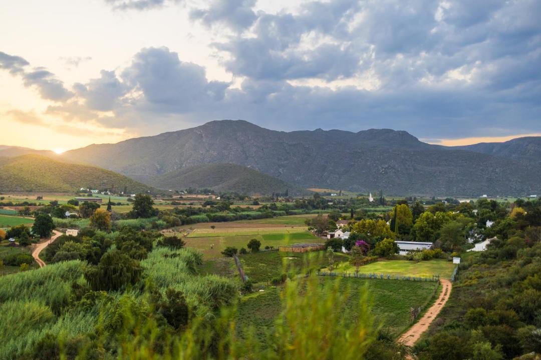 Photo of Others in Schoemanshoek