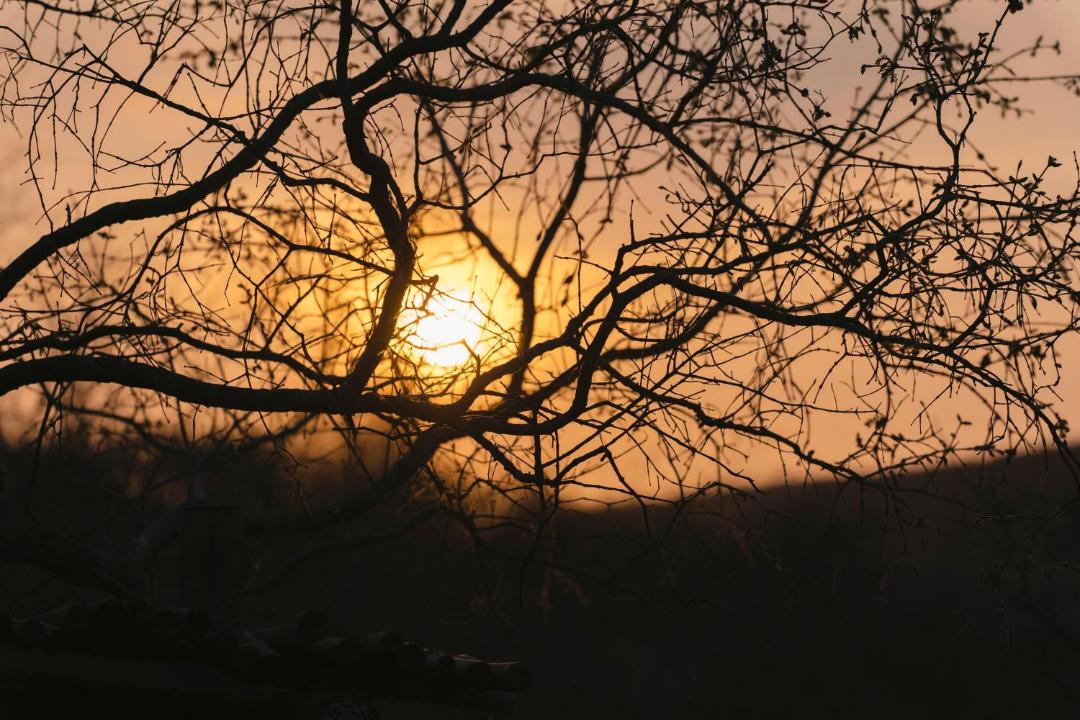 Photo of Others in Waterberg