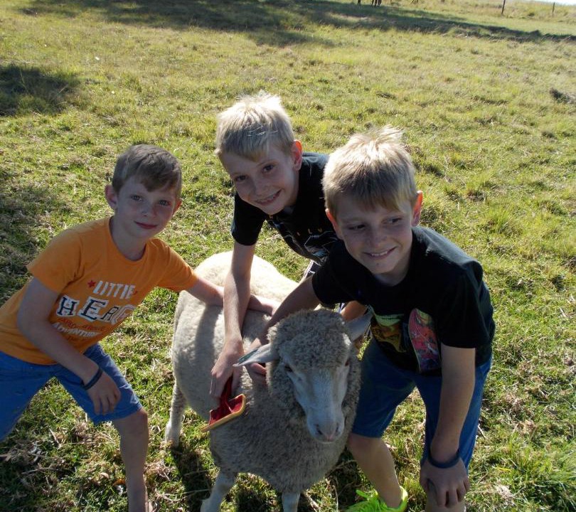 Photo of Others in Wakkerstroom