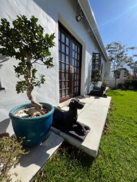 Photo of Others in Somerset West