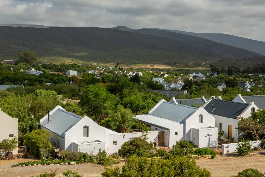 Photo of Buildings in McGregor