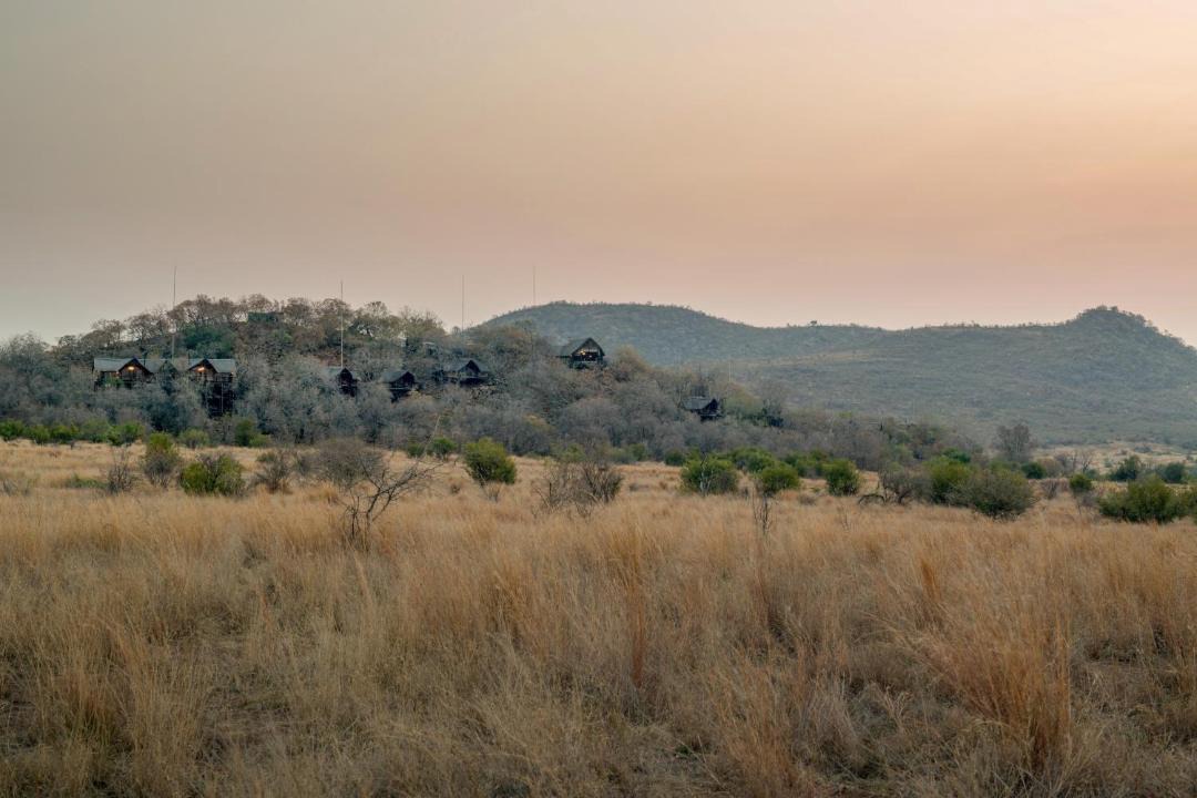 Photo of Others in Pilanesberg National Park