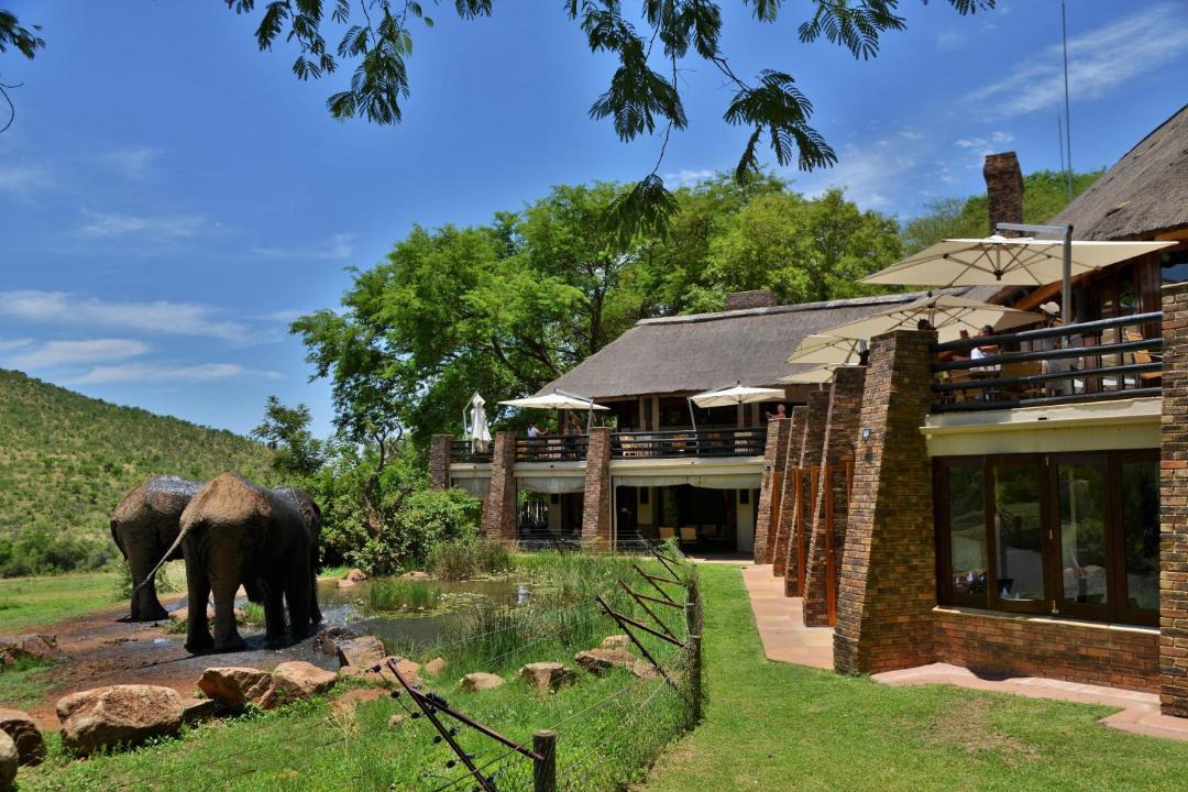 Photo of Others in Pilanesberg National Park