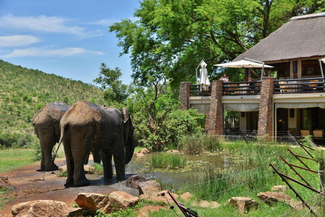 Photo of Others in Pilanesberg National Park
