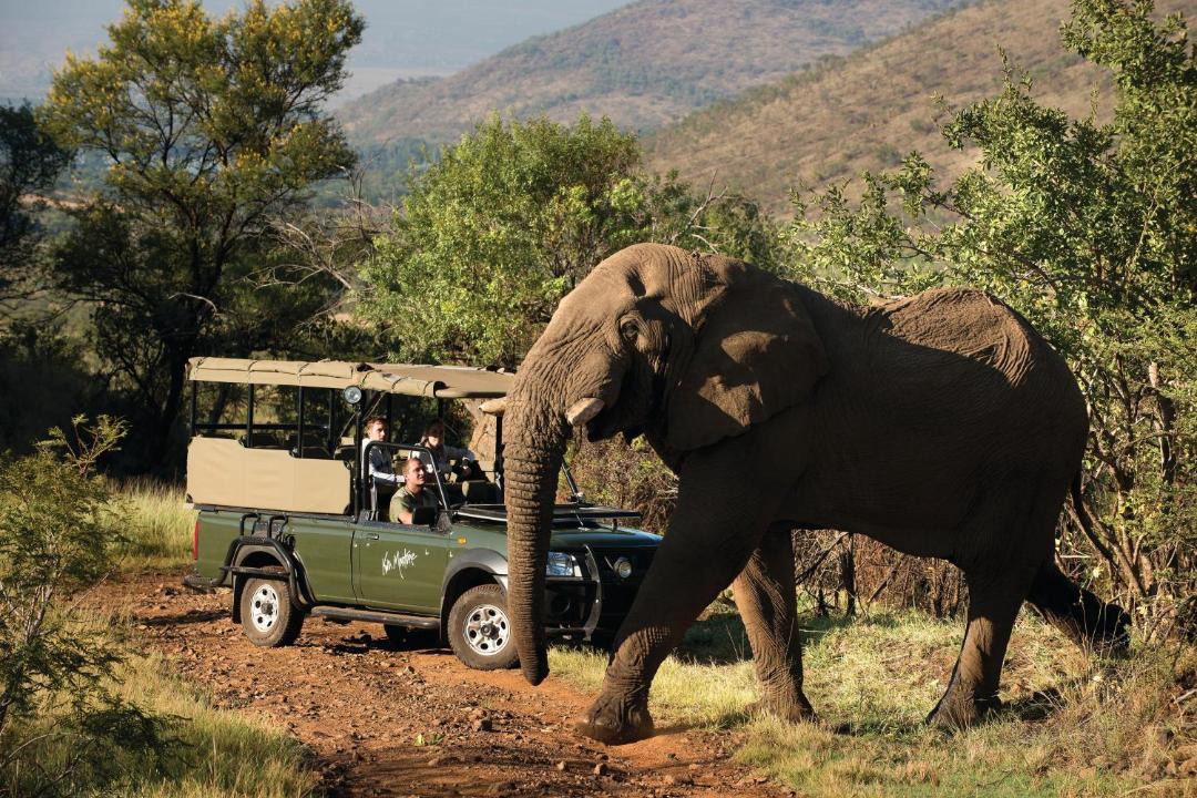 Photo of Others in Pilanesberg National Park