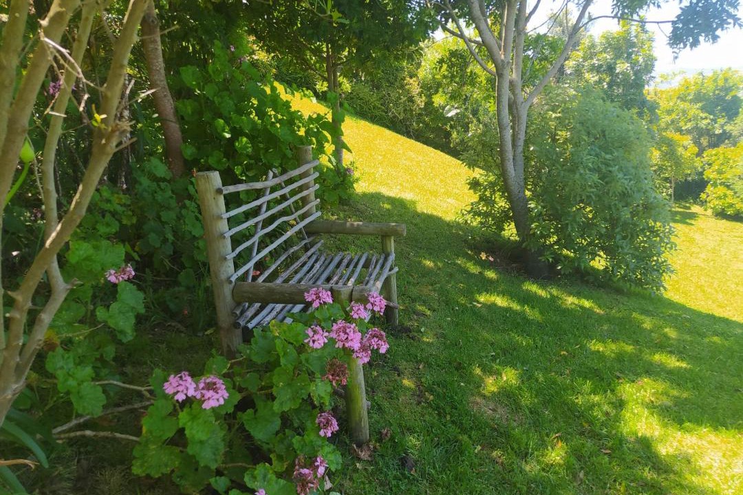 Photo of Others in Paradise