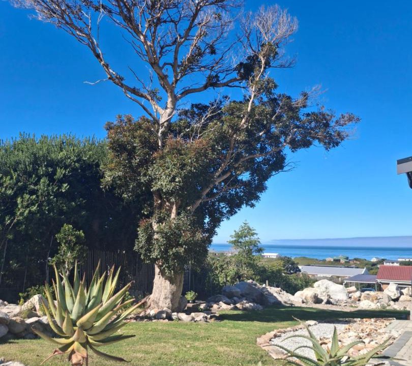 Photo of Others in Betty's Bay